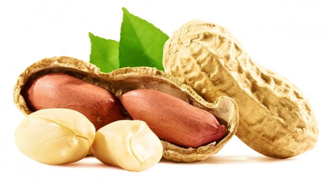 Alimentos ricos em Vitamina E 2 Alimentos ricos em vitamina E