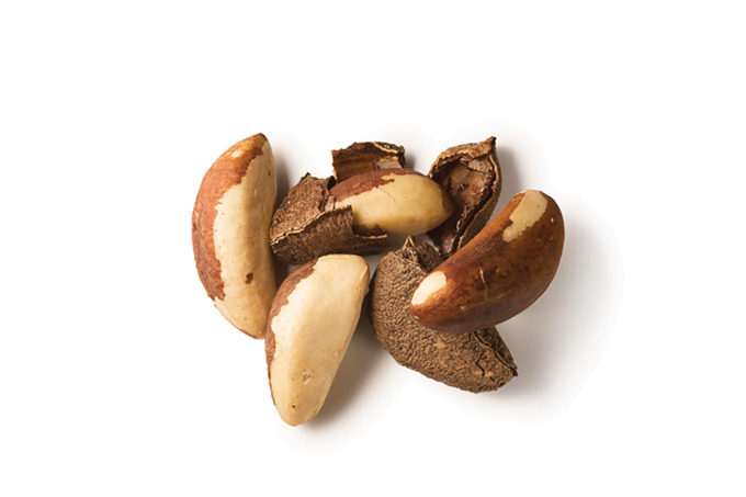 Alimentos ricos em Vitamina E 3 castanha para